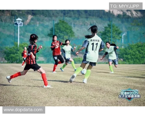 阑珊足球：在喧嚣中追寻宁静与梦想的绿茵之旅